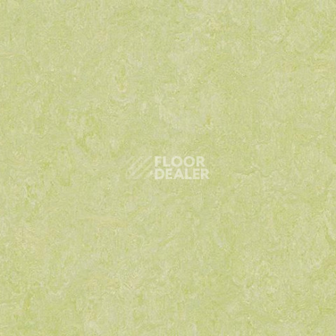 Линолеум Forbo Marmoleum Marbled Real 3881 Green Wellness фото 1 | FLOORDEALER